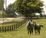 Centaur HTP Flexible Fence Rolls 330'/660' Qty 1 each