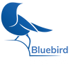 Bluebird Fencing