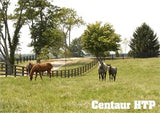 Centaur HTP Flexible Fence Rolls 330'/660' Qty 1 each