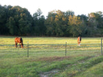 Finishline Fencing  Qty 1 each