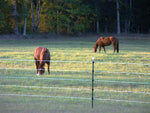 Finishline Fencing  Qty 1 each