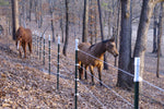 Finishline Fencing  Qty 1 each