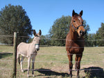 Finishline Fencing  Qty 1 each