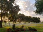 Hot Rail Flexible Fence Rolls 330'/660' 1 per