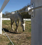 White Lightning Single Strand Fence Rolls 1320' Qty 1 each