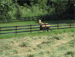 Hot Rail Flexible Fence Rolls 330'/660' 1 per