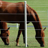 PolyPlus Single Strand Fence Rolls 1320' Qty 1 each