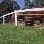 PolyPlus Single Strand Fence Rolls 1320' Qty 1 each